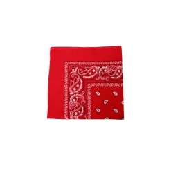 Black Colour BCFIRA mini Scarf - Rødt tørklæde 3514 Red fra Black Colour