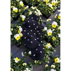 Black Colour BCLOVE Sock - Strømper med hjerter 4288 Black w. white fra Black Colour